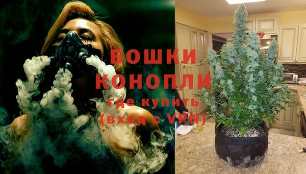 гашик Алексеевка