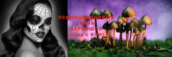 mix Алексин