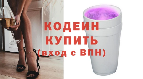 ПСИЛОЦИБИНОВЫЕ ГРИБЫ Абаза