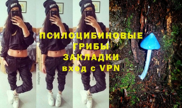мескалин Ладушкин