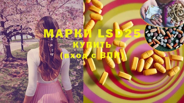 ПСИЛОЦИБИНОВЫЕ ГРИБЫ Абаза