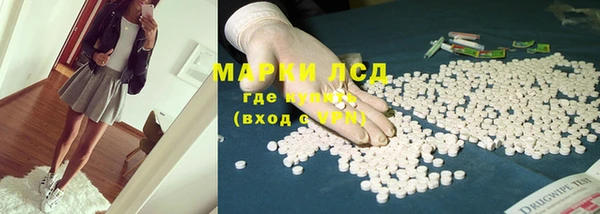 ПСИЛОЦИБИНОВЫЕ ГРИБЫ Абаза