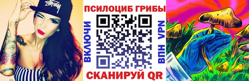 закладка  Нальчик  Галлюциногенные грибы GOLDEN TEACHER 