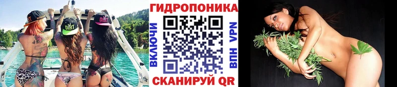 Каннабис SATIVA & INDICA закладка hydra зеркало Нальчик